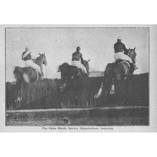 Horse racing open ditch - horse,