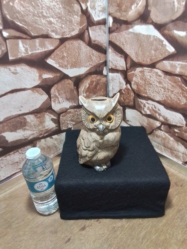 Nuz vintage owl money - owl, no