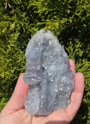 Celestite crystal egg - crystal, inner