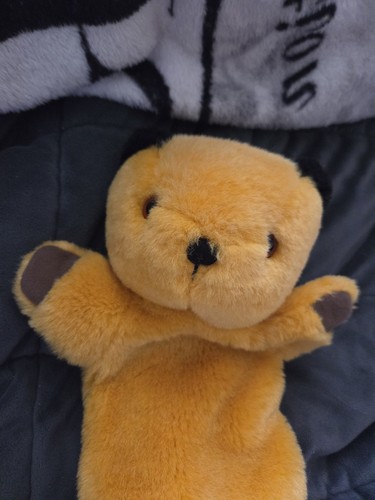 Sooty bear plush - sooty,