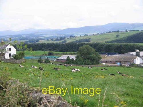 Photo 6x4 barndennoch - barndennoch, farm