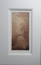 Limited Edition John