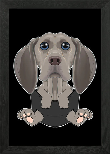 Weimaraner puppy pocket - puppy,
