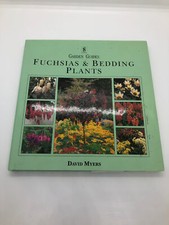Fuchsias & Bedding Plants