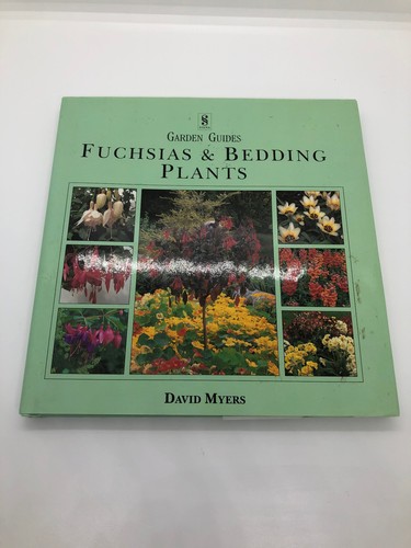 Fuchsias bedding plants - bedding,