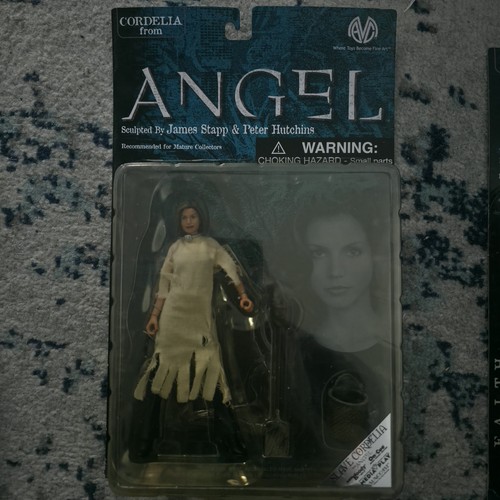 Buffy the vampire slayer - the,