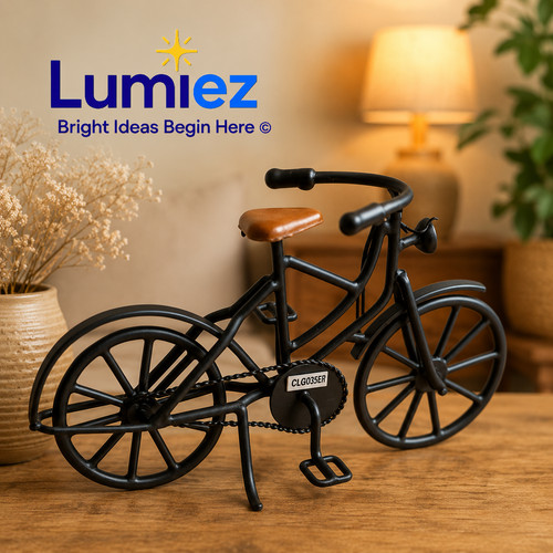Premium heavy metal wire bike - premium,