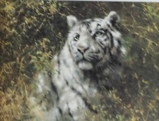 TONY FORREST 3 LIMITED EDITION