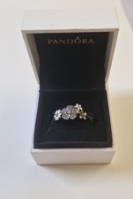 Pandora Retired Shimmering