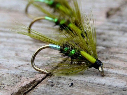 Ifs pearly olive - ifs,