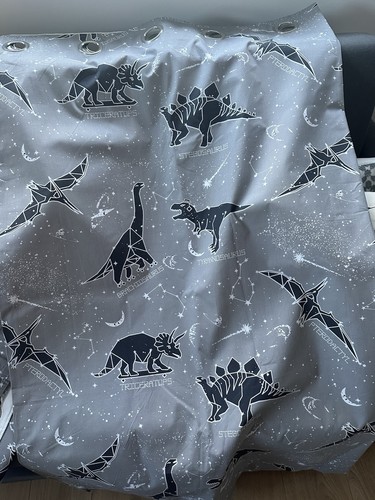 Kids dinosaur theme - theme, eyelet