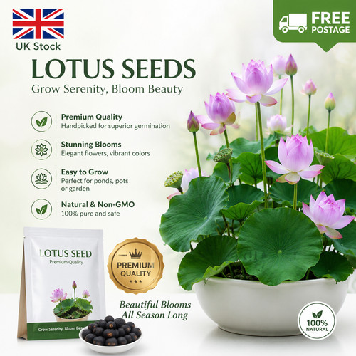 100x lotus seeds - 20/100x,