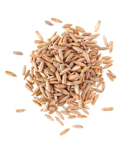 Whole rye grain 25kg - whole,