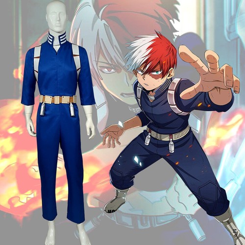 Hero academia cosplay - academia,