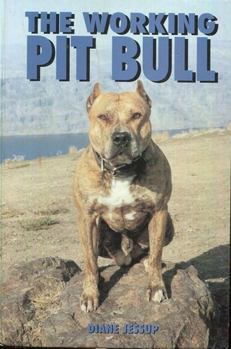 The working pit - the, bull