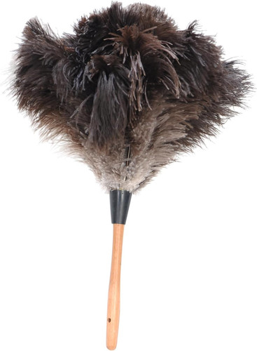 Premium genuine ostrich - genuine,