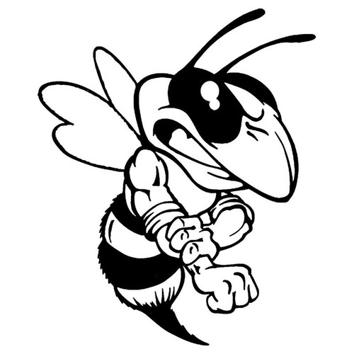 Evil bee wasp hornet - evil,