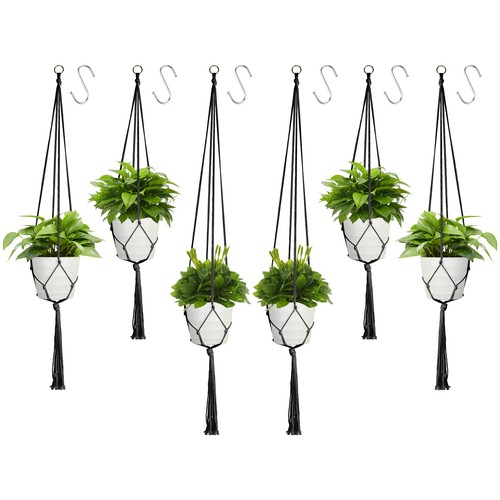 Macrame plant hanger pack - plant, 6