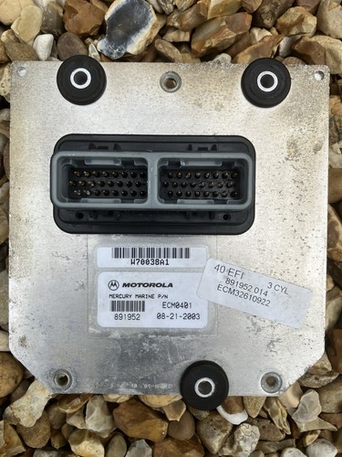 Mariner 40hp efi stroke ecm - 40hp, 4