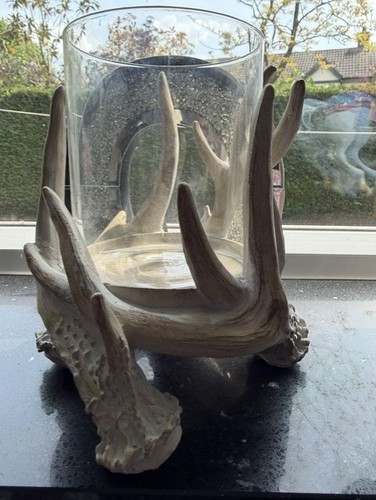 Natural antler hurricane - natural,