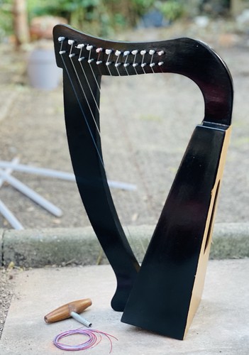 Brand new strings rosewood - new, 12