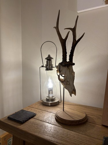Deer skull display stand home - stand,