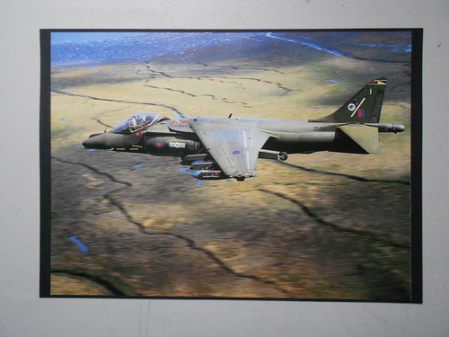Airforce print jaguar gr - airforce,