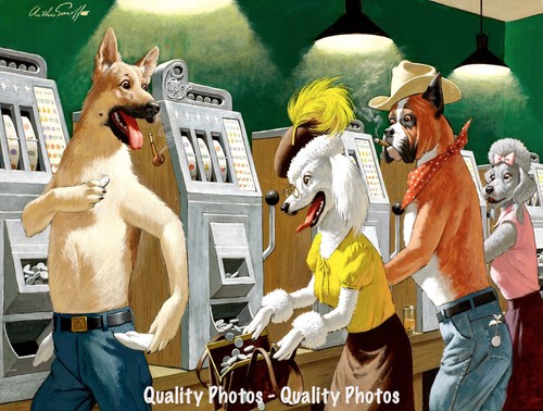 Dogs playing slot machines - slot,