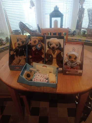Full set meerkats with - of,