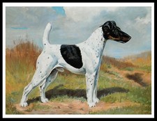 SMOOTH FOX TERRIER VINTAGE