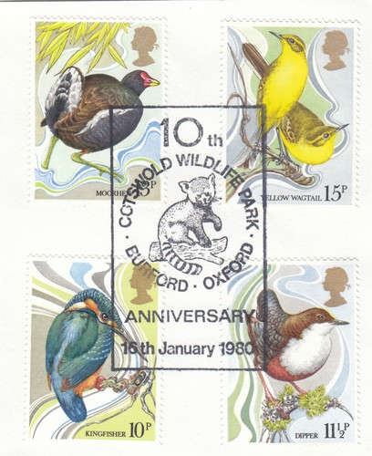 Birds rspb cotswold wildlife - rspb,
