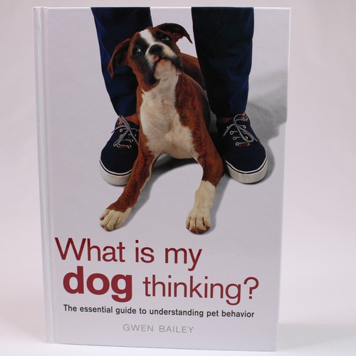 What dog thinking the - my,