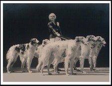 BORZOI LADY & DOGS VINTAGE