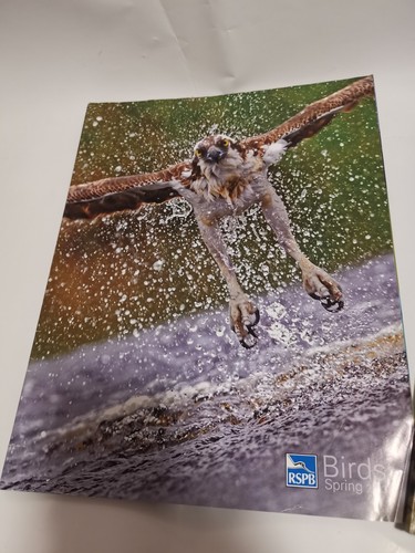 Rspb birds magazines - magazines, x2