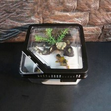 Spider Reptile Terrarium Tank Plastic Reptile Breeding Box Terrarium Cage