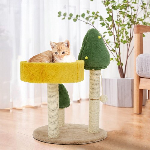 Kitten cat tree - tree,