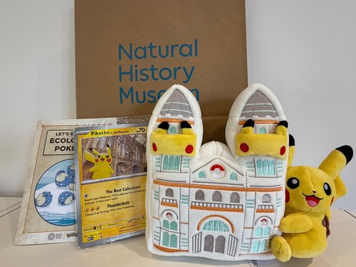 Limited edition nhm pikachu - nhm,