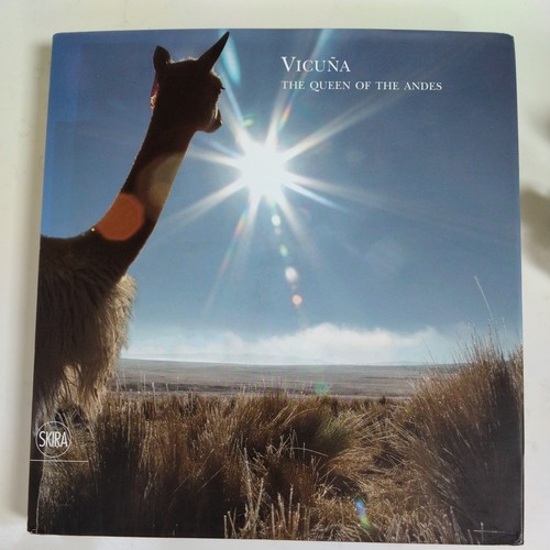 Vicuna the queen - of,