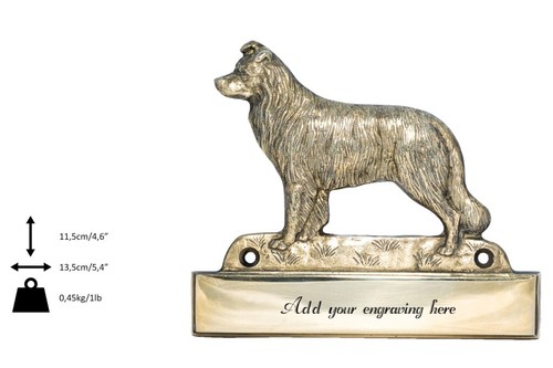 Border collie brass - brass, plate