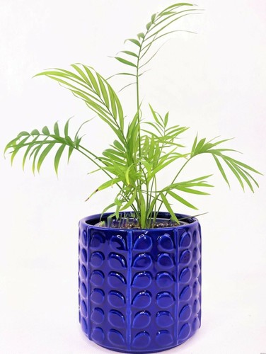 Flower pots home decor modern - flower,