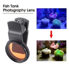 ﹣Seawater Fish Tank Coral