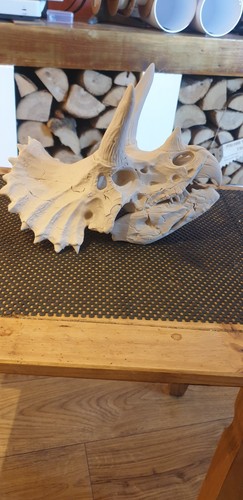 Printed triceratops skull - 3d,