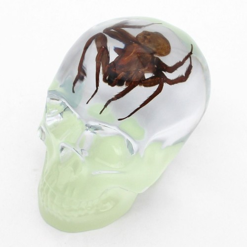 Glow dark skull - dark,