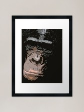 Bonobo Face Framed Art Print