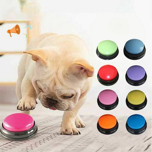 Pet starters recordable - pet,