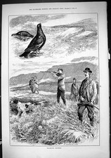 Old Antique Print 1884 Blackcock Shooting Birds Hunting Spaniel Dog Swain 19th