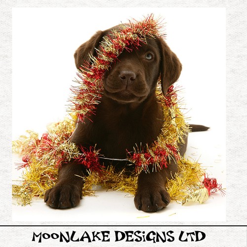 Christmas fun chocolate - christmas-fun,