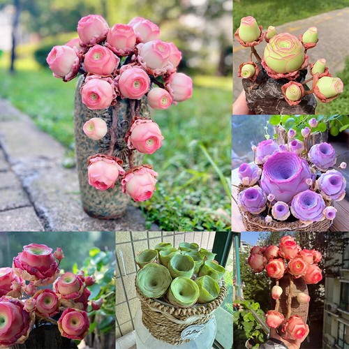 Mountain rose flower - mountain,