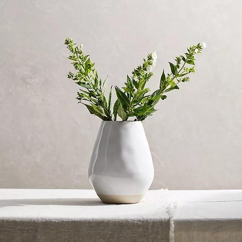 The white company - the,