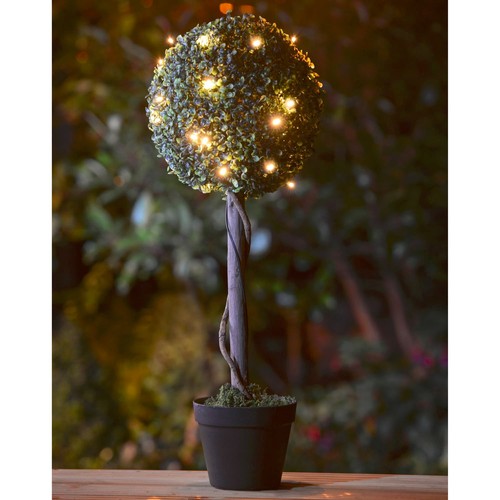 70cm tall topiary ball plant - 70cm,